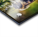 Petal Perch - Maine Botanical Wall Art Impression Acrylique