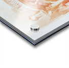 Introspection Acrylic print