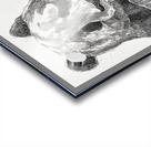 panda charcoal 2408244 Acrylic print