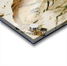 Study Of A Tiger 1890 Wilhelm Kuhnert German 1865 Acrylic print