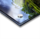 Sea Pines Rookery and Horse Farm Acrylic print