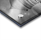 Normandy Round Brick Barn Dove Cote Acrylic print