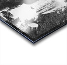 Snoqualmie Falls Acrylic print