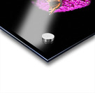  Butterfly Joy Acrylic print