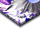 Cool Abstract Grey Daisy Acrylic print