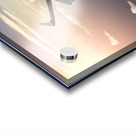 Airplane in sky background Acrylic print