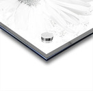 Abstract White Minimalist Daisy Acrylic print