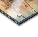 A Vision in Lake Ontario Acrylic print