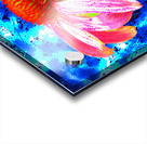 Abstract Pink Cone Flower on a Blue Abstract Background Acrylic print