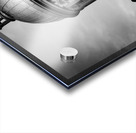 MARCHE BONSECOURS Acrylic print