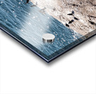 GRAND PLONGEON Acrylic print