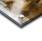 Past and Future King Acrylic print