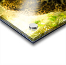 Pat The Cat Painting Acrylic print