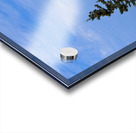 Bass Harbor Light in Acadia National Park in Northern Maine Acrylic print