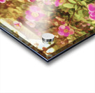 Fantastic Flowering Curb Appeal Acrylic print