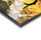 IMG 4650 Acrylic print