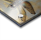 Good Luck Golden Dragonfly 2024 09 03 10 42 01 Acrylic print