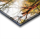 Along the Niagara River Acrylic print