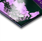 Vintage Kansas State College Campus Art Acrylic print