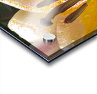 Abstract Vibrant Dew Drop Lily Flower Acrylic print