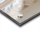 Psyche Abandoned by Pietro Tenerani 1819 Carrara marble - the  Acrylic print