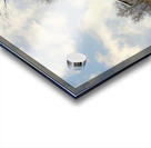 On My Way to Beaver Valley Acrylic print