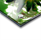 Abstract Dark Green Daisy Flower Acrylic print