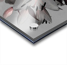 Abstract White Lilies on a Muted Background Acrylic print