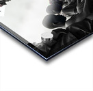 food line Acrylic print