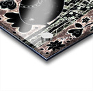 Abstract Floral Birds Acrylic print