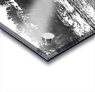 Dylan BW 01 Cabarete Bay Sept 24 Acrylic print