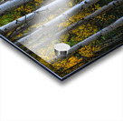 Roosevelt National Forest Wilderness Wonderland Acrylic print