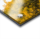 Inviting Autumn Hiking Trail Acrylic print