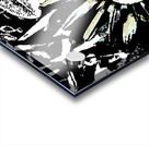 Abstract Black and White Daisy Flower Acrylic print