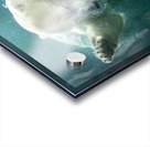 Sons close encounter with a Polar Bear 3 Acrylic print