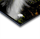 Abstract Dark Daisy Yellow Centre Acrylic print