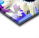 Abstract Vibrant Daisy Acrylic print