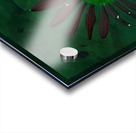 Abstract Contrasting Daisy Too  Acrylic print