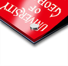 vintage university of georgia ribbon art Acrylic print