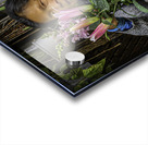 10530 Dragon Flowers  Acrylic print