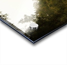 chinasr Acrylic print