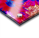 Abstract Bright Vibrant Daises  Acrylic print