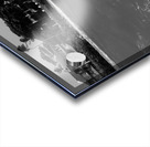 Bella September2024 5BW Acrylic print