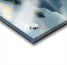 The best custom acrylic color designs for your home Acrylic print