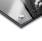 Jenny Cosmic Babarete Bay 19 BW August 2024 Acrylic print