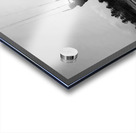 Jenny Cosmic Babarete Bay 21 BW August 2024 Acrylic print