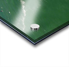 Jenny Cosmic Babarete Bay 31 August 2024 Acrylic print