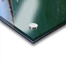 Jenny Cosmic Babarete Bay 35 August 2024 Acrylic print