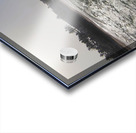 Jenny Cosmic Babarete Bay 56 August 2024 Acrylic print