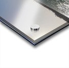 Jenny Cosmic Babarete Bay 53 August 2024 Acrylic print